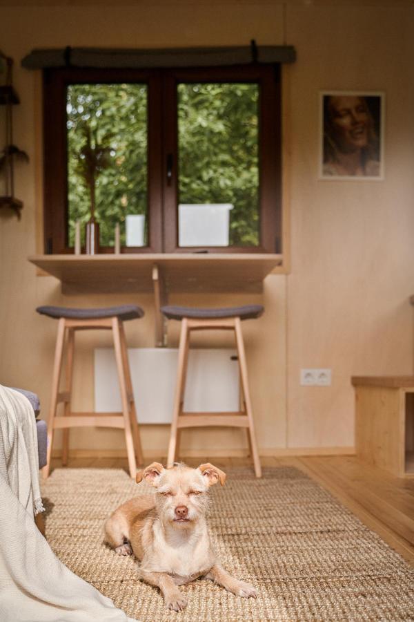 Tiny House Örebro Eksteriør bilde